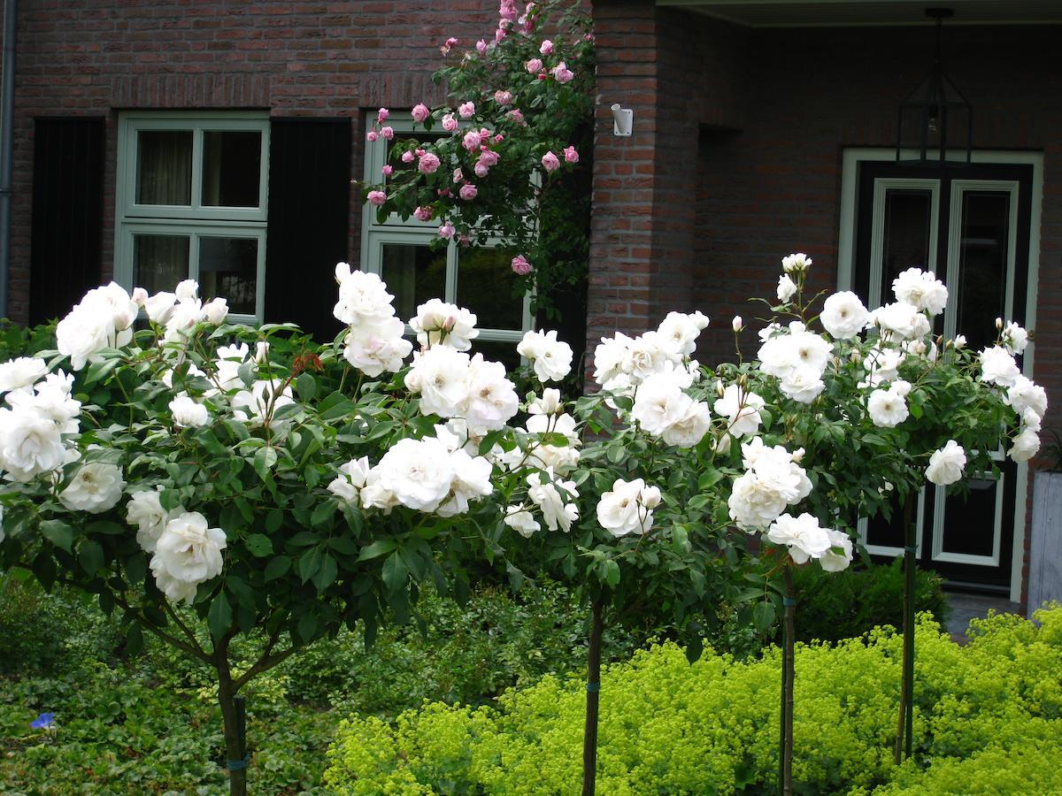 B&B Aan De Burgt Boekel Exterior photo